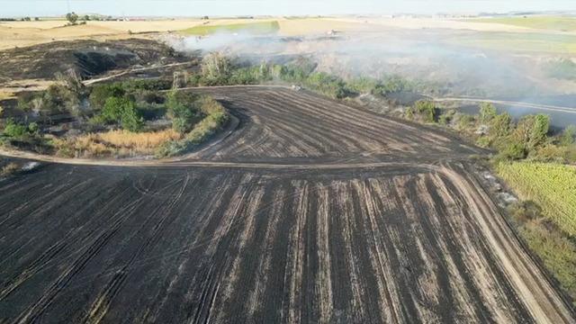 Tekirdağ'da çıkan yangında bin 500 dekarlık tarım arazisi zarar gördü