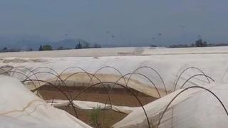 Antalya'da iki doğal afet birden! Bu sefer de hortum seralara zarar verdi