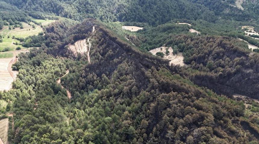 Bolu'da yangın! 25 hektarlık alan küle döndü