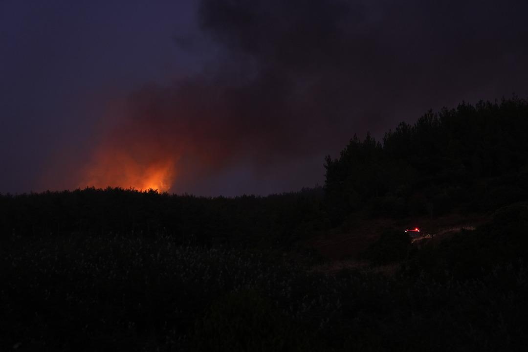 AA-20250629-38423214-38423212-BAKAN_YUMAKLI_IZMIRDE_ORMAN_YANGINLARINA_ILISKIN_KONUSTU