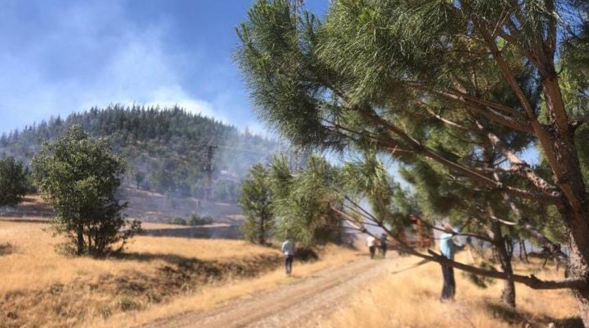 Kahramanmaraş&rsquo;ta orman yangını