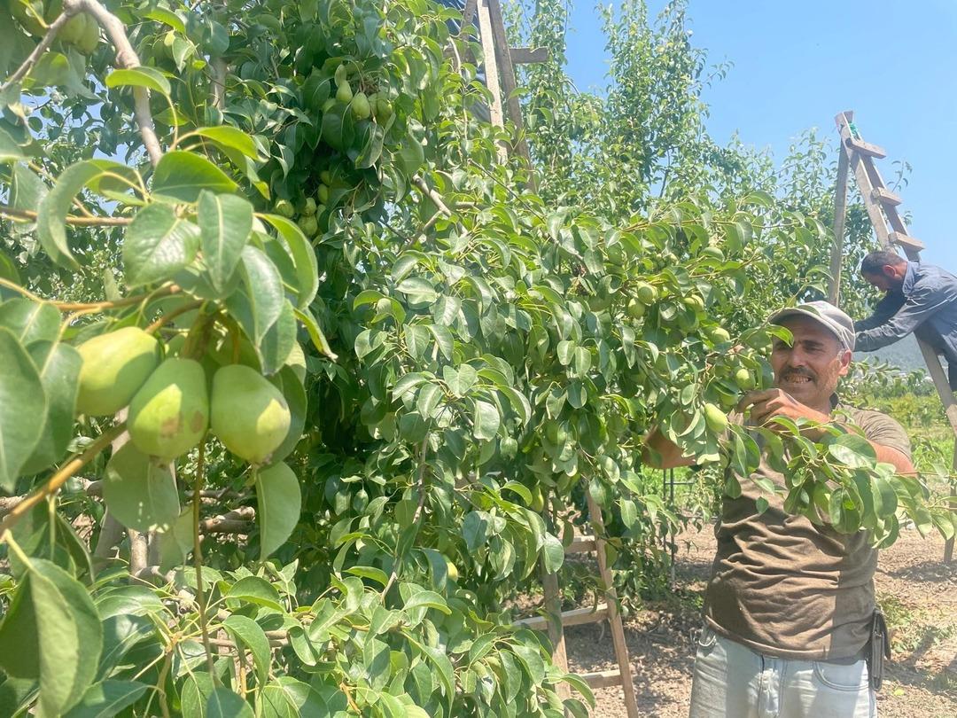 Fiyatlar yüzde 100 arttı! 10 taksitle alıyorlar, ek maliyeti dudak uçuklattı 1