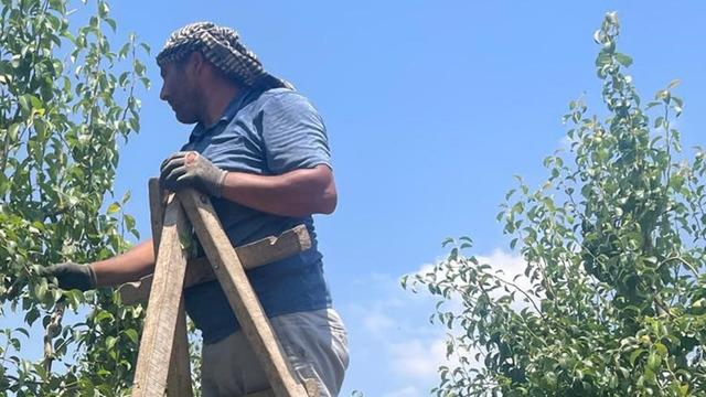 Fiyatlar yüzde 100 arttı! 10 taksitle alıyorlar, ek maliyeti dudak uçuklattı