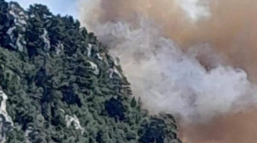 Mersin Bozyazı’da orman yangınına ekipler müdahale ediyor