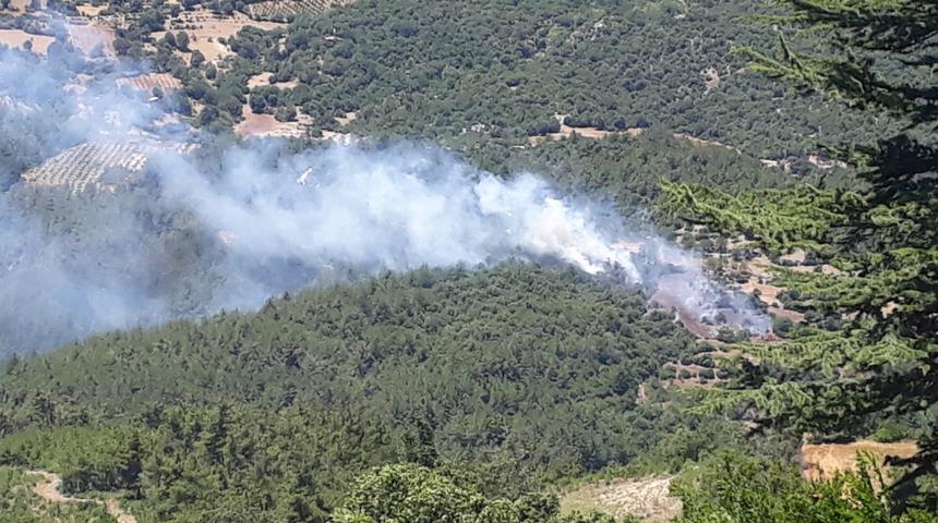 Adana'da çıkan orman yangını kontrol altına alındı