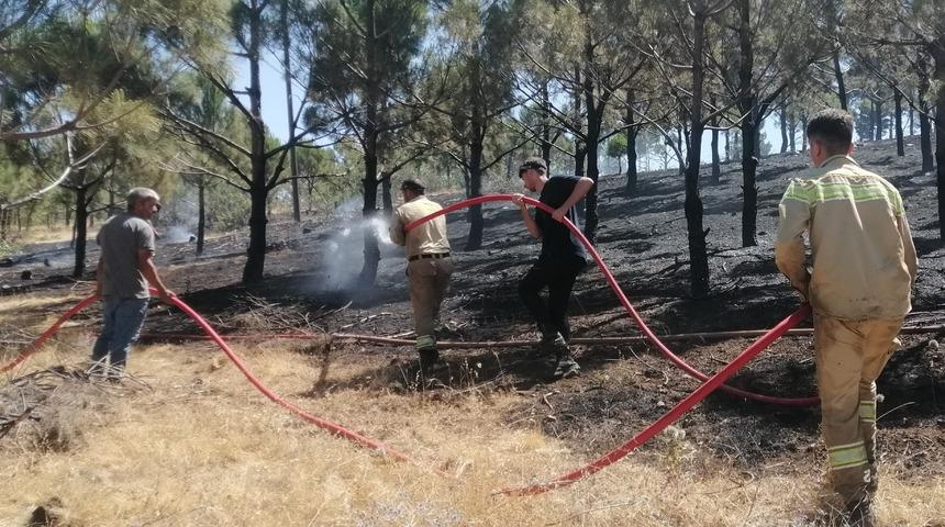 Kahramanmaraş'ta çıkan orman yangını söndürüldü