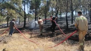 Kahramanmaraş'ta çıkan orman yangını söndürüldü