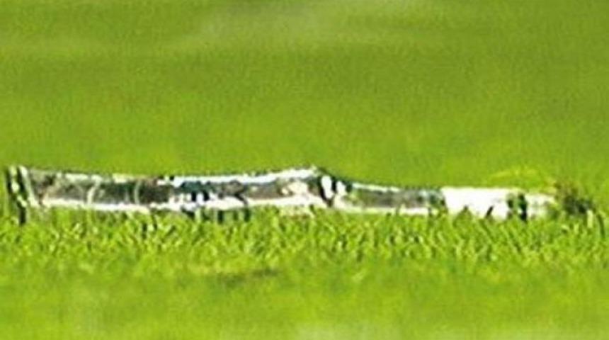 2 şişe rakı 4 milyon TL...