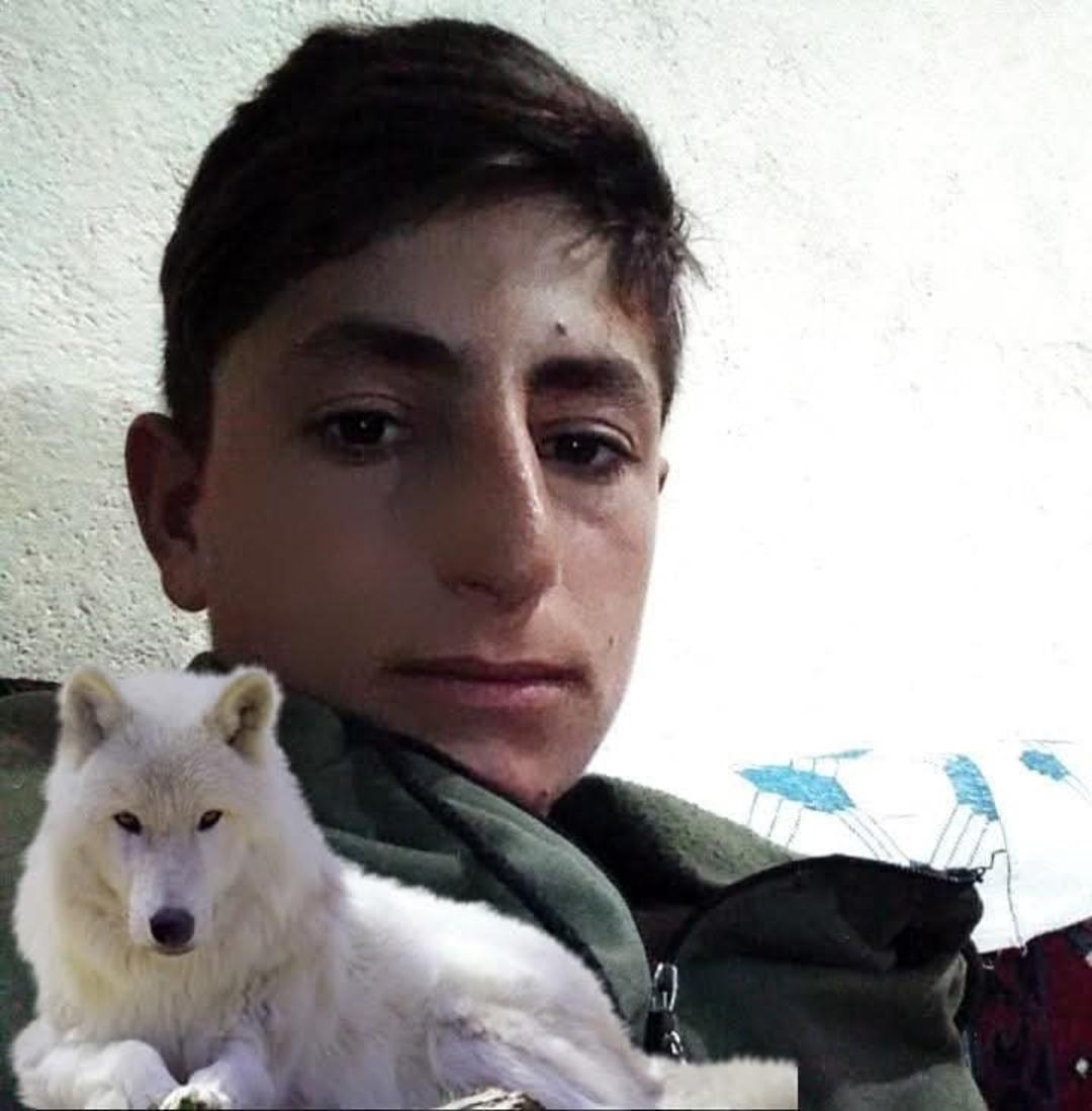 Muş’ta iş kazası: 20 yaşındaki genç hayatını kaybetti 1