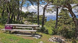 Yer: Erzurum! Piknik alanında Bizans'ı buldu! Ekipler harekete geçti...