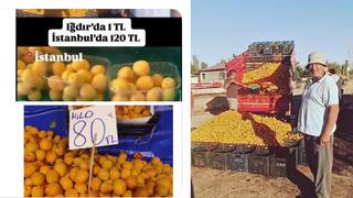 Iğdır'da 1, İstanbul'da 120 TL paylaşımına milyonluk ceza yağdı!