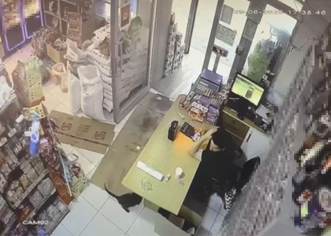 Markette kutuyu hareket ettiren kedi panik yaşattı: O anlar kamera yansıdı 2
