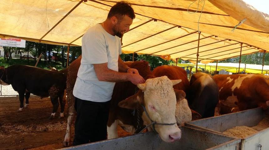 Ülke genelinde tüm hayvan pazarları kapatıldı! 'Acele' kodlu yazı 81 ile gönderildi