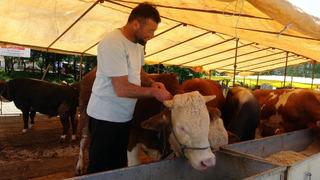 Ülke genelinde tüm hayvan pazarları kapatıldı! 'Acele' kodlu yazı 81 ile gönderildi