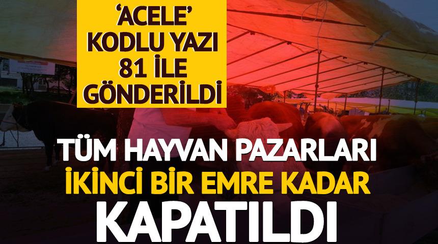 Ülke genelinde tüm hayvan pazarları kapatıldı! 'Acele' kodlu yazı 81 ile gönderildi