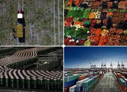 Tarım, gıda ve içecek sektöründen ilk 5 ayda 11,54 milyar dolarlık ihracat