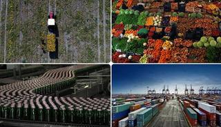 Tarım, gıda ve içecek sektöründen ilk 5 ayda 11,54 milyar dolarlık ihracat