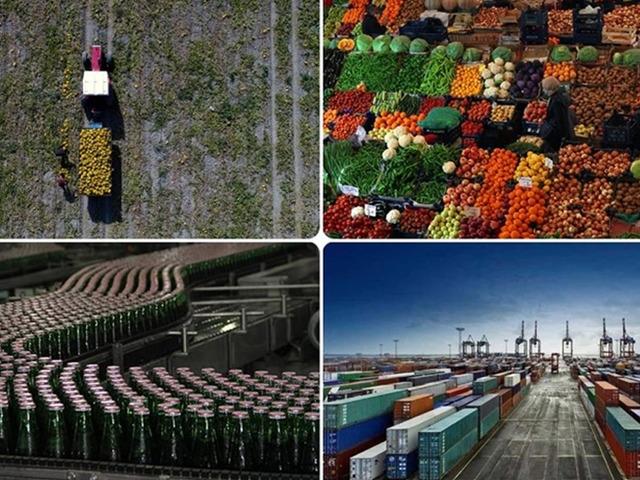 Tarım, gıda ve içecek sektöründen ilk 5 ayda 11,54 milyar dolarlık ihracat
