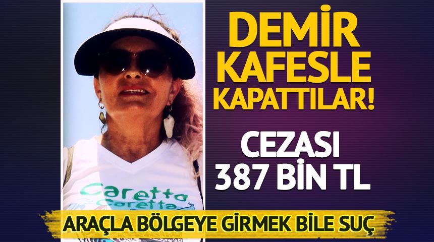 Demir kafesle kapattılar! Cezası 387 bin TL