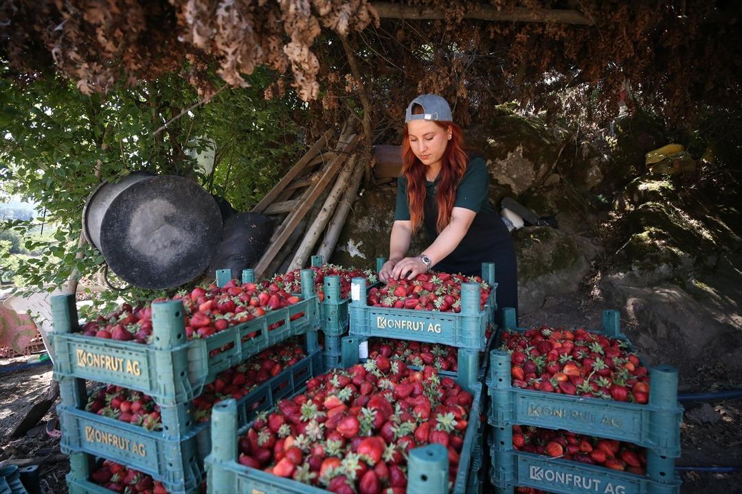 Beyaz yaka yerine o işi seçti!  Kendi işimin patronu olmak için geldim  2