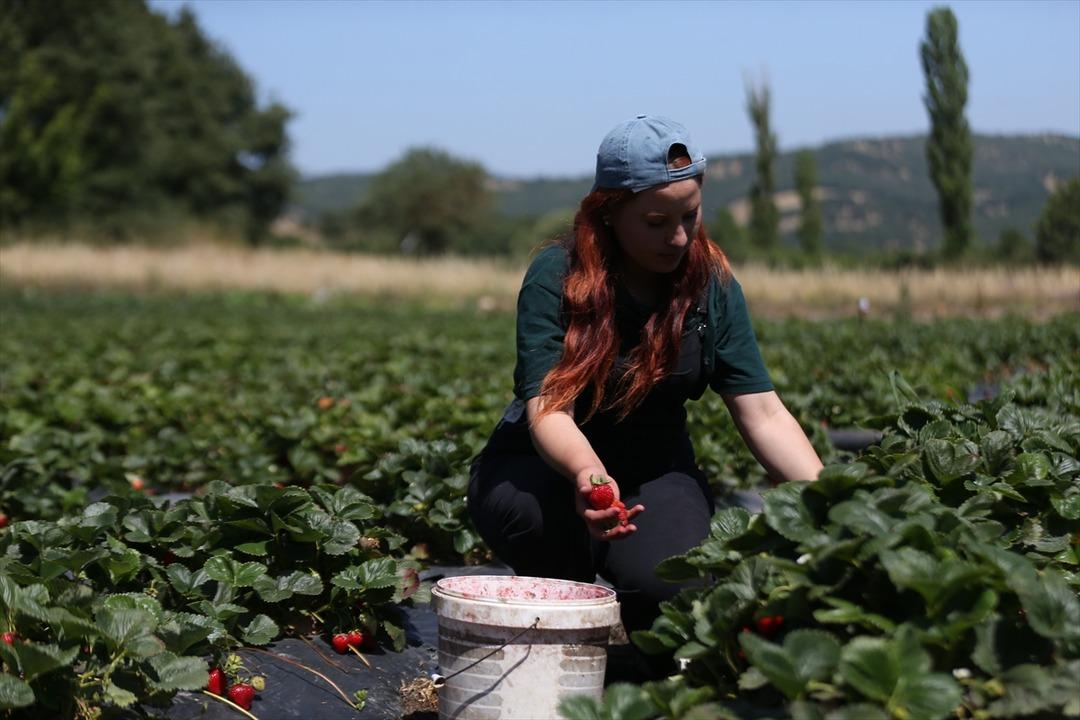 Beyaz yaka yerine o işi seçti!  Kendi işimin patronu olmak için geldim  5
