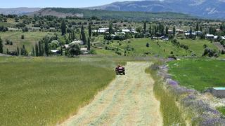 Giresun'da tarımsal üretim planı ile yetiştirilen ürünlerin ilk hasadı yapıldı
