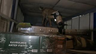 Kamyonetin kasasında 9 kilo kokain ele geçirildi