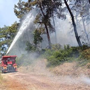 Manavgat'ta ormanlık alan yangınında 3 hektar alan zarar gördü