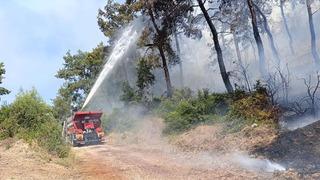 Manavgat'ta ormanlık alan yangınında 3 hektar alan zarar gördü