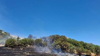 Manisa'da anız yangını korkuttu! Ormana sıçramadan müdahale edildi
