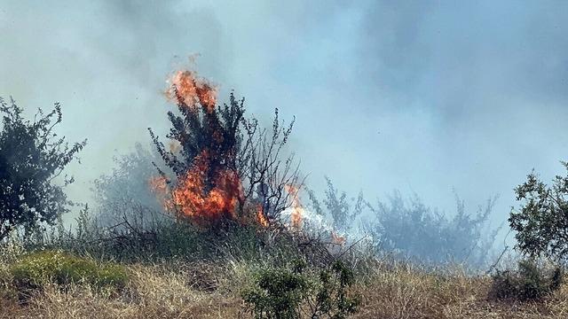 Manisa Turgutlu'da çıkan orman yangını, 2,5 saatte kontrol altına alındı