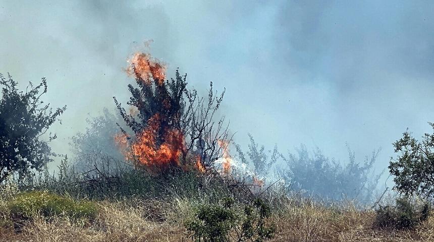 Manisa Turgutlu'da çıkan orman yangını, 2,5 saatte kontrol altına alındı