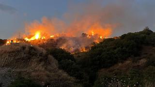 Manisa'da çıkan orman yangınının sebebi şaşkına çevirdi! 120 dönüm alan zarar gördü: Tutuklandı