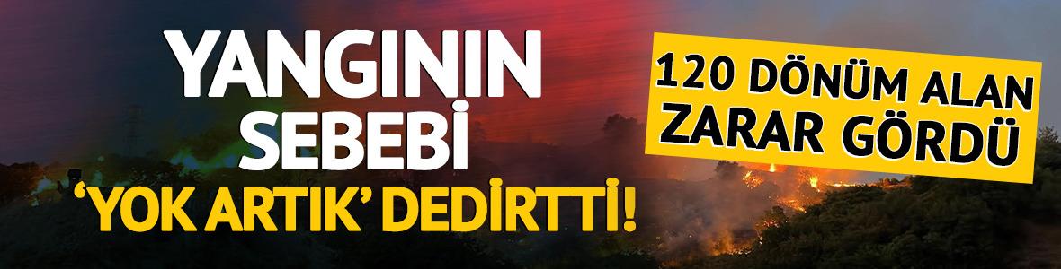 Manisa'da çıkan orman yangınının sebebi şaşkına çevirdi
