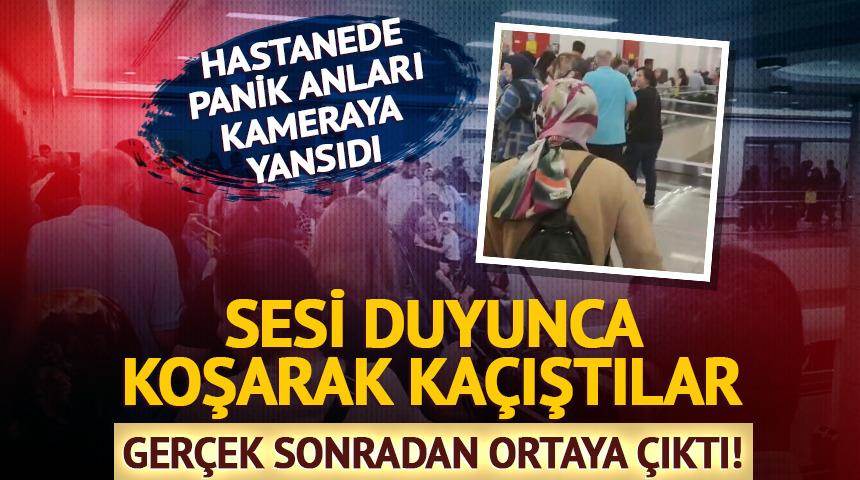 Sesi duyunca panikle kaçtılar! Gerçek sonradan ortaya çıktı