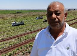 Kilosu 1-2 TL oldu! 'Fiyat kendi kendine düşüyor'