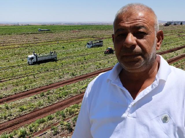 Kilosu 1-2 TL oldu! 'Fiyat kendi kendine düşüyor'
