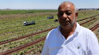 Kilosu 1-2 TL oldu! 'Fiyat kendi kendine düşüyor'