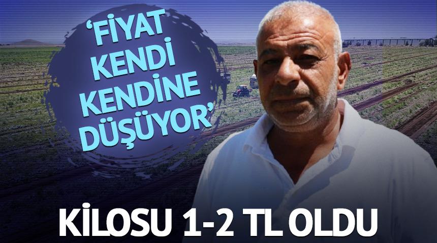 Kilosu 1-2 TL oldu! 'Fiyat kendi kendine düşüyor'