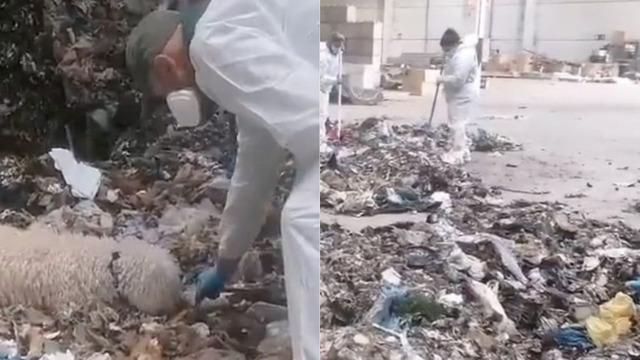 Çöp tesisinde parçalanmış bebek cesedi bulundu! Canlı doğmuş ama...