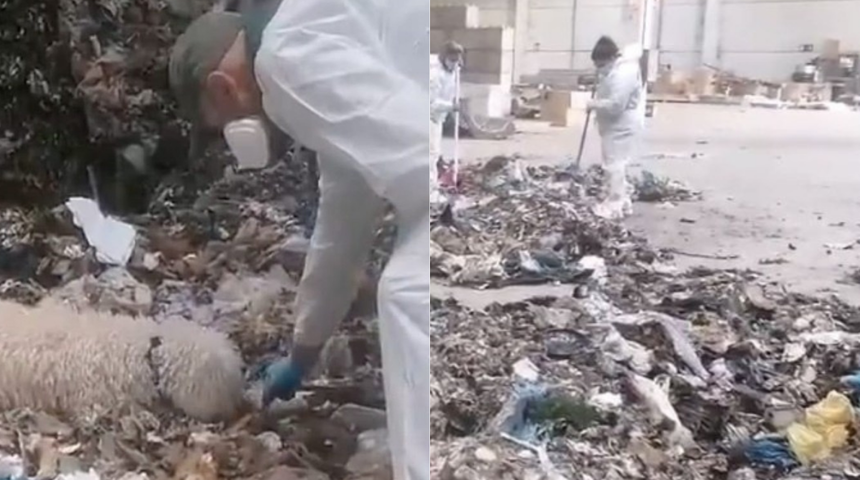 Kan donduran olay! Çöp tesisinde parçalanmış bebek cesedi bulundu! Canlı doğmuş ama...