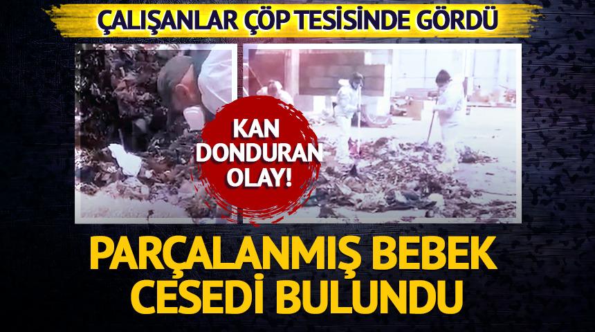 Çöp tesisinde parçalanmış bebek cesedi bulundu! Canlı doğmuş ama...