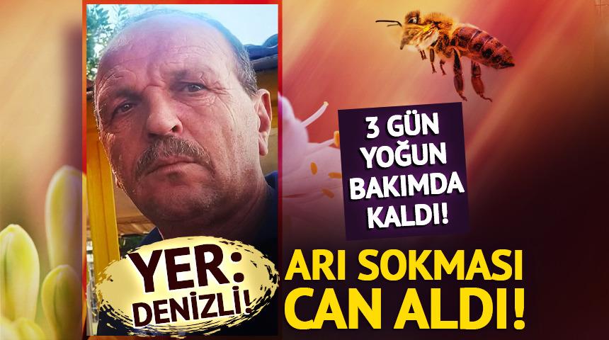 Denizli'de arı sokması can aldı!