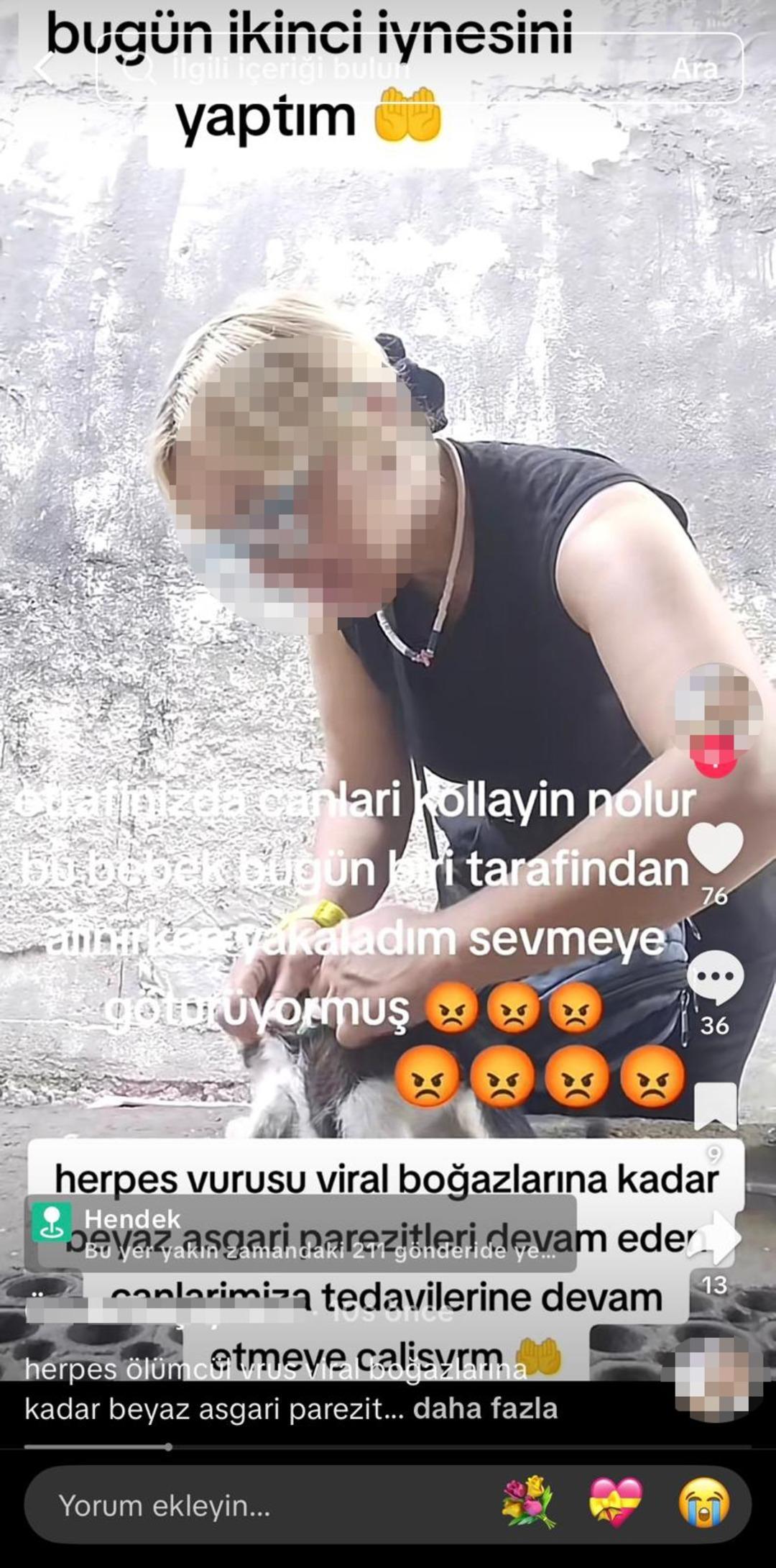 Sokak kedilerine iğne yaptı, tepki yağdı! Görüntüleri sosyal medyadan paylaşan kadın olay oldu: "İnsan sağlığı için tehlikeli" 1