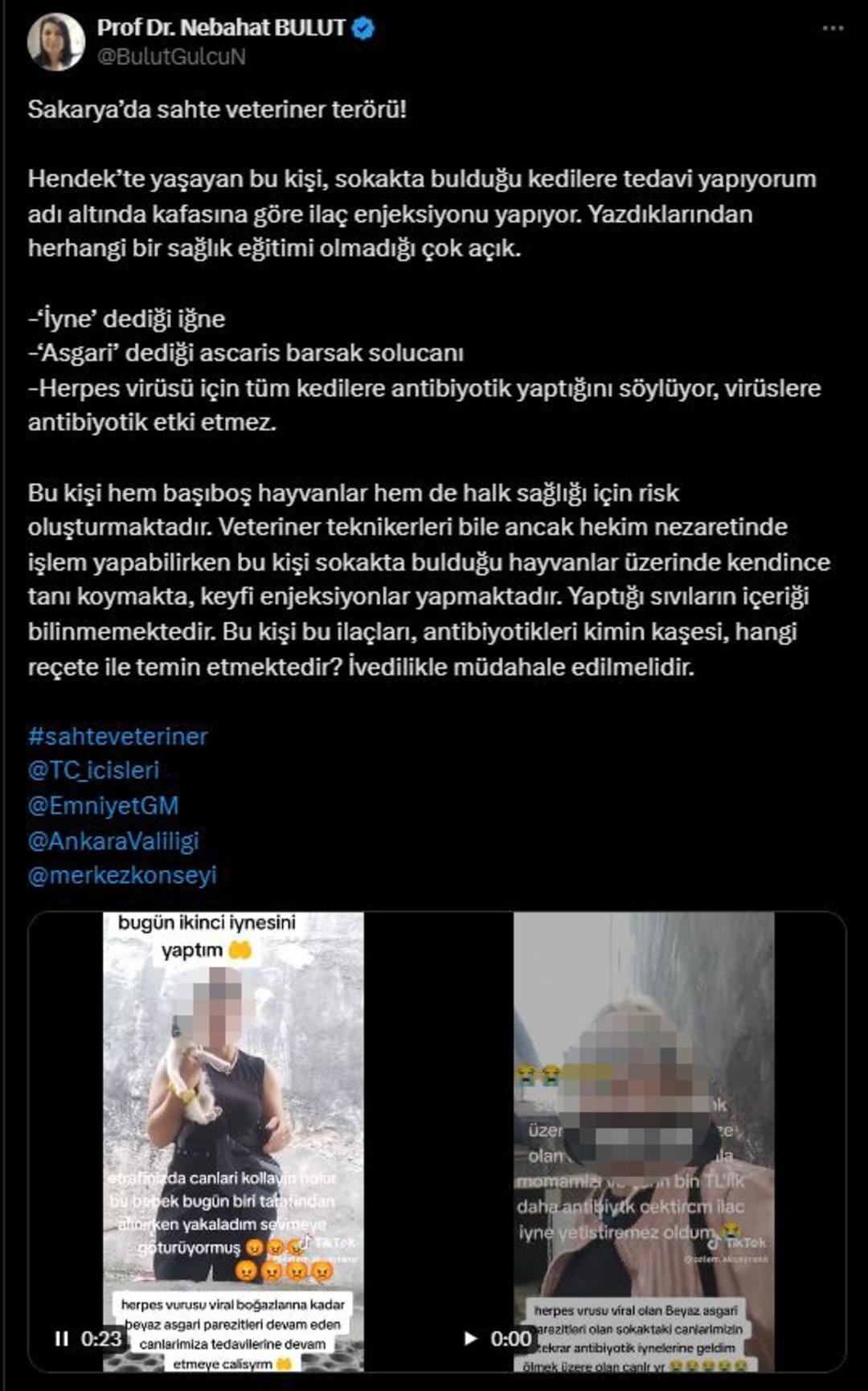 Sokak kedilerine iğne yaptı, tepki yağdı! Görüntüleri sosyal medyadan paylaşan kadın olay oldu: "İnsan sağlığı için tehlikeli" 2