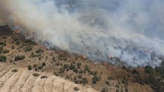 Aydın'da tarım arazisi ile maki yangını