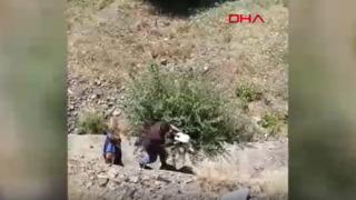 Bingöl’de yaralı halde bulunan leylek, tedaviye alındı