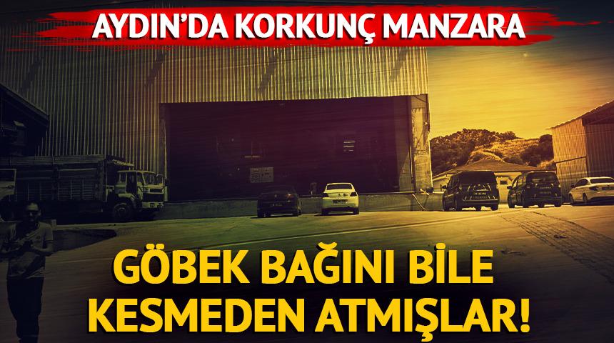 Yer: Aydın! Atık tesisinde bebek cesedi: Göbek bağını bile kesmeden atmışlar