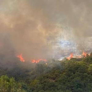 Son Dakika Haber Görseli