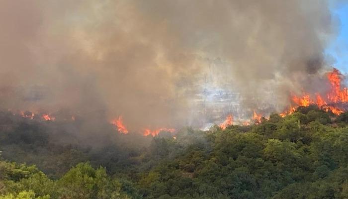 20509037-700x400 Kocaeli'de orman yangını çıktı